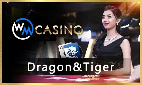 Trusted Casino Software Provider E